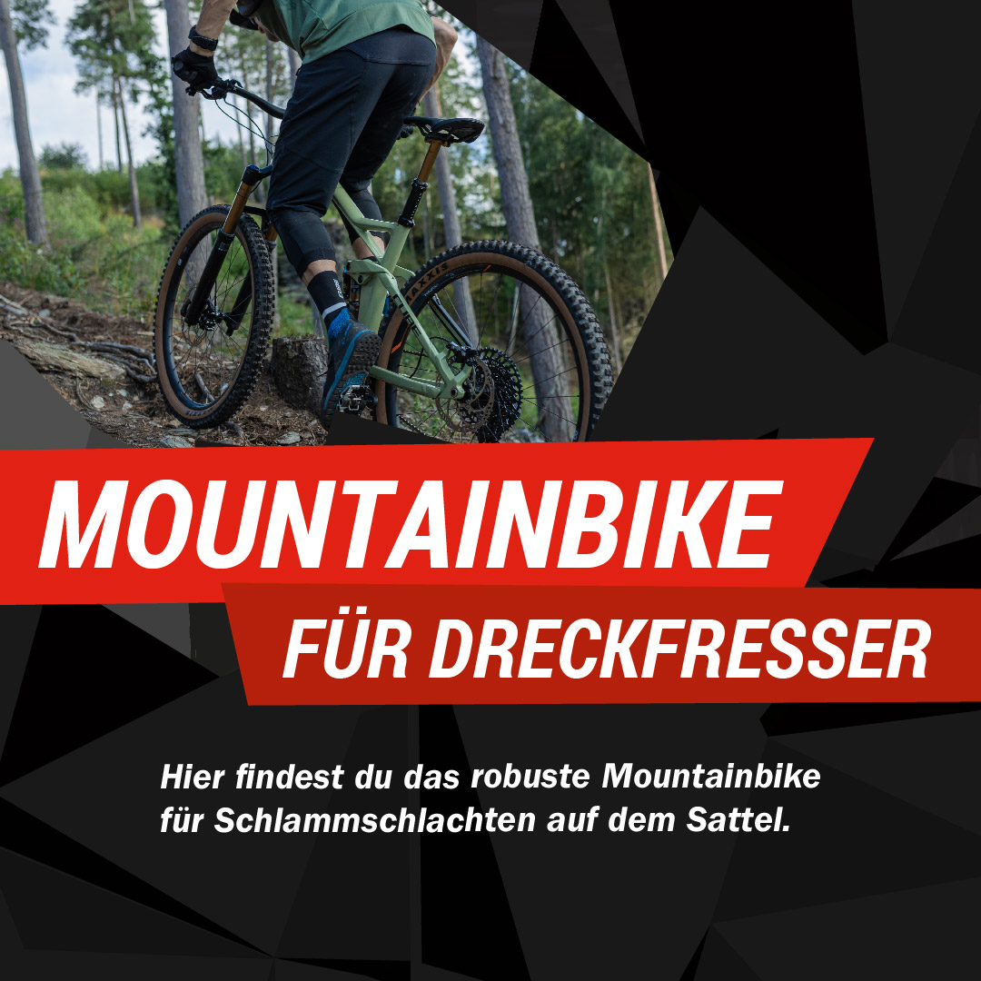 Mountainbikes im CUBE Store Rostock