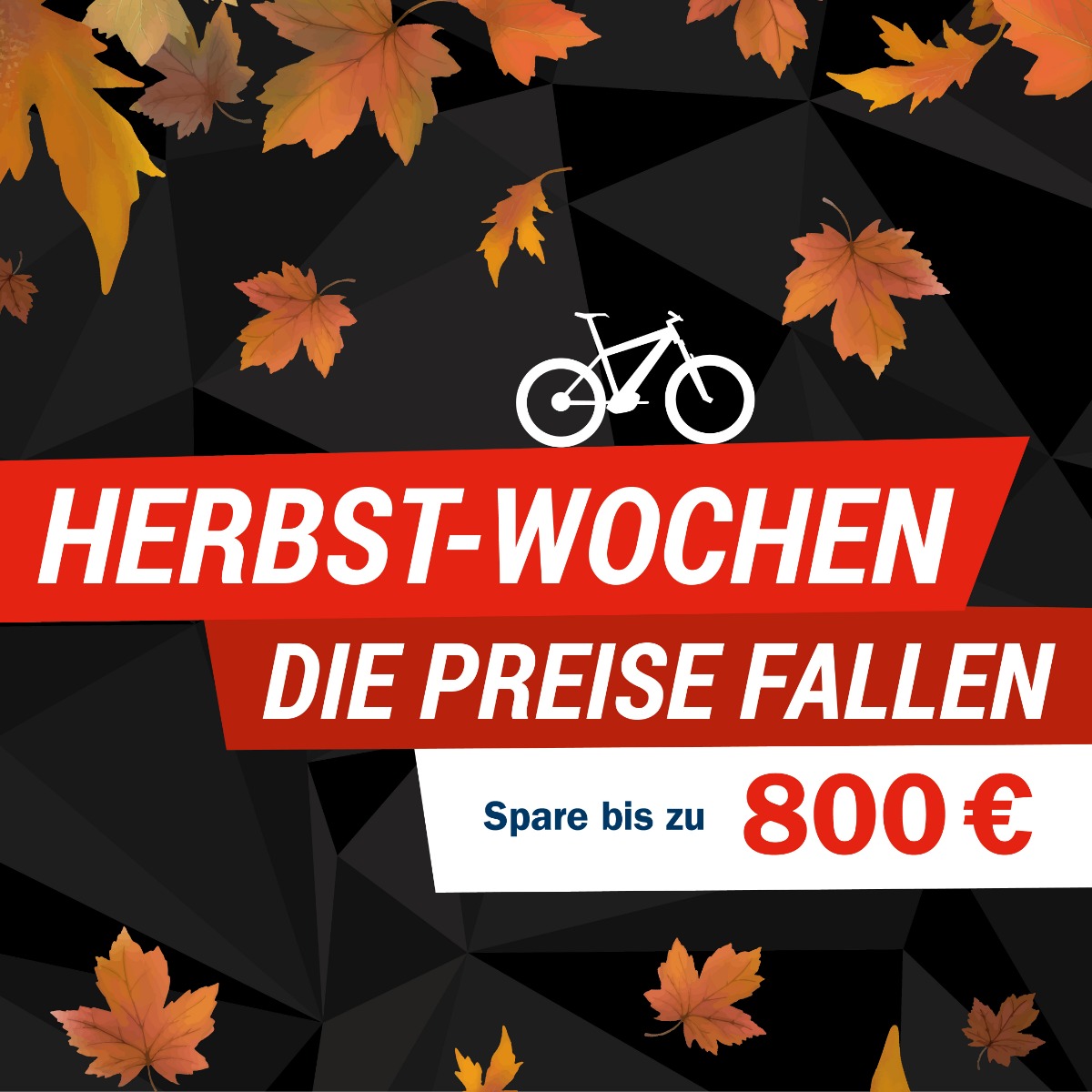 Fahrrad Herbst Angebote im CUBE Store