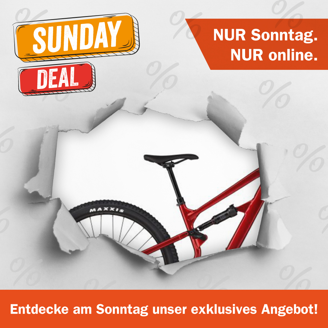 Sunday Deal im CUBE Store
